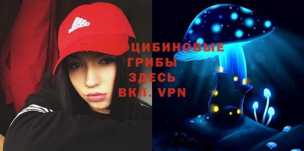 гашик Абаза