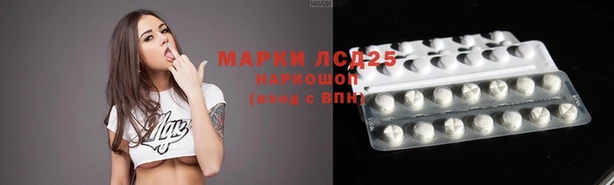 гашик Абаза