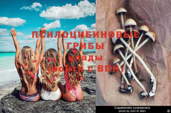 apvp Абдулино