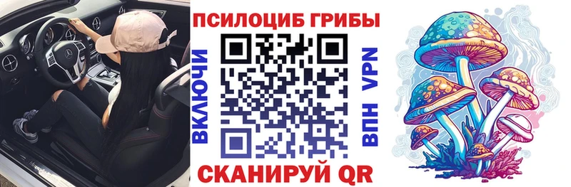 наркота  сайты даркнета официальный сайт  Галлюциногенные грибы GOLDEN TEACHER  Катайск 